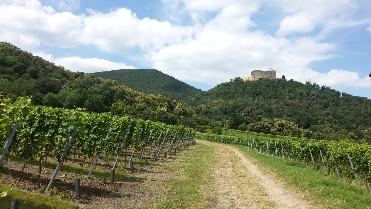 Gaestehaus Weingut Glas Neustadt an der Weinstrasse Ngoại thất bức ảnh